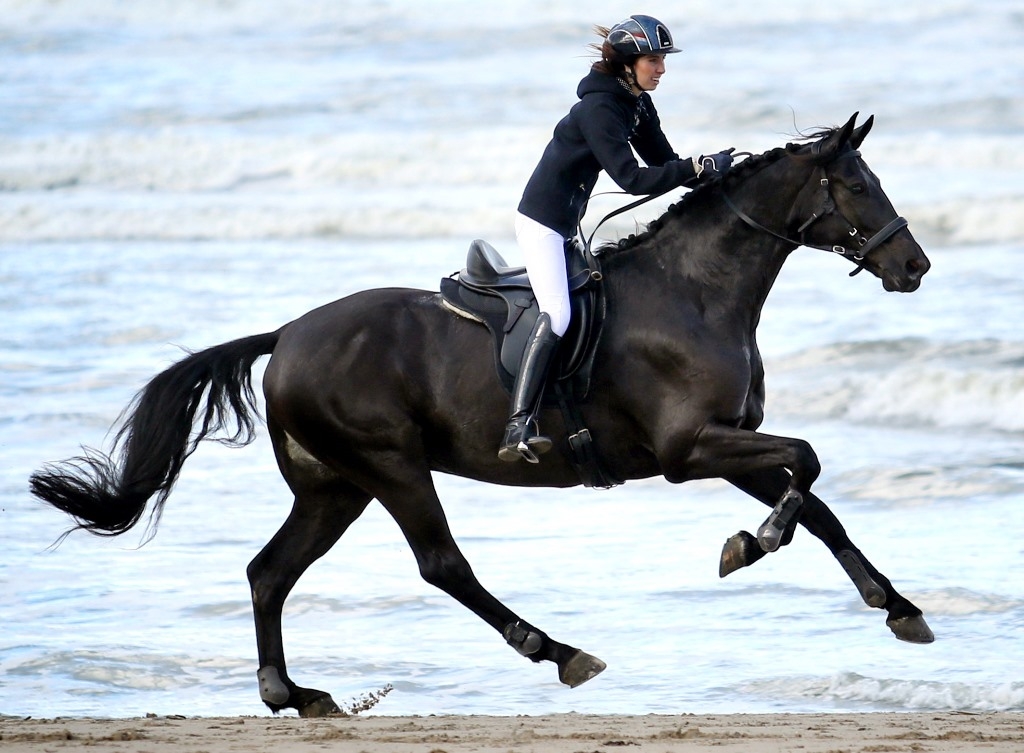 Barefoot® Wellington (dressyr) - 2