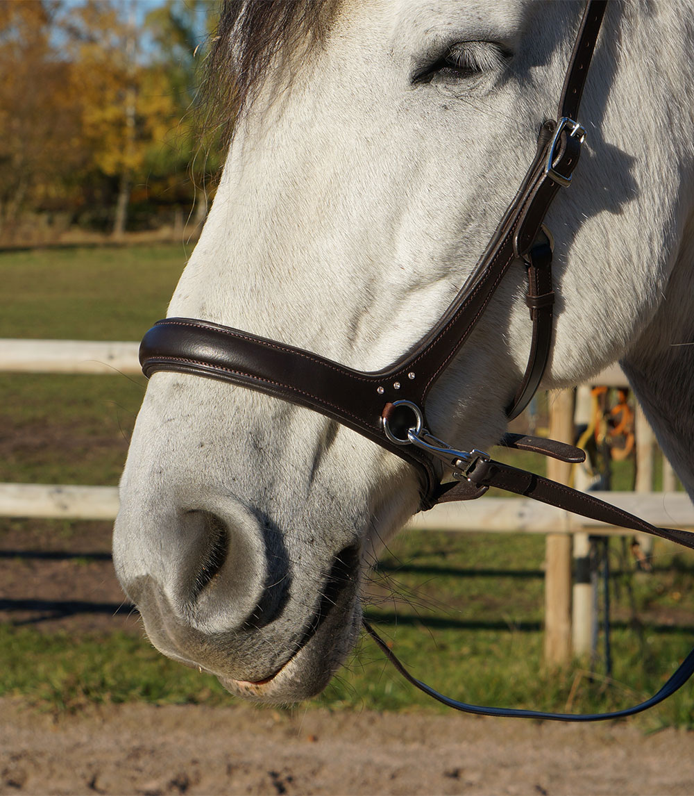 Sidepull, anatomical F.R.A® 'Rebecca' (incl reins) - 8