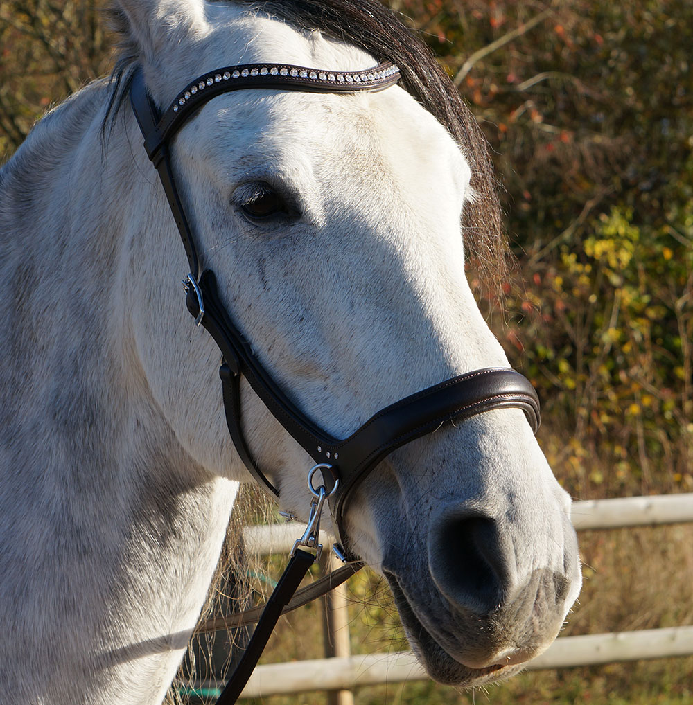 Sidepull, anatomical F.R.A® 'Rebecca' (incl reins) - 7