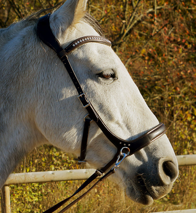 Sidepull, anatomical F.R.A® 'Rebecca' (incl reins) - 4