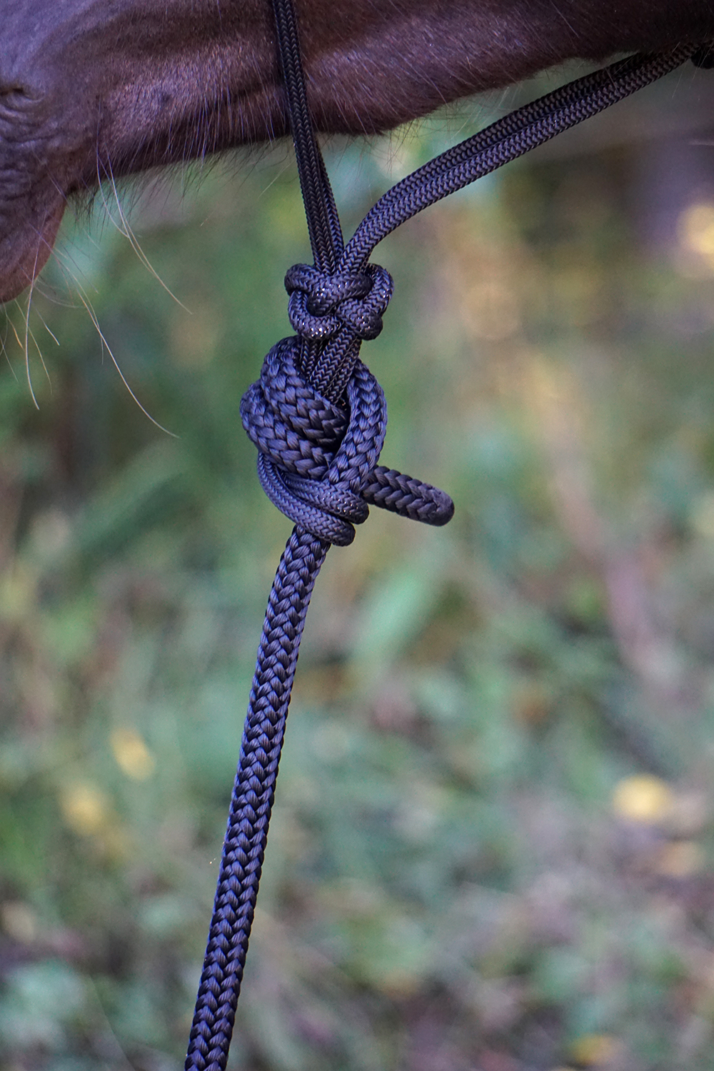 Horsemanship rope Buck Brannaman TreeLine PRO (Made in USA), 4,1 m - 3