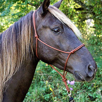 Ropehalter Buck Brannaman #124, tan