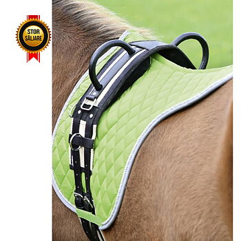 Training Roller DOUBLE, black/tan