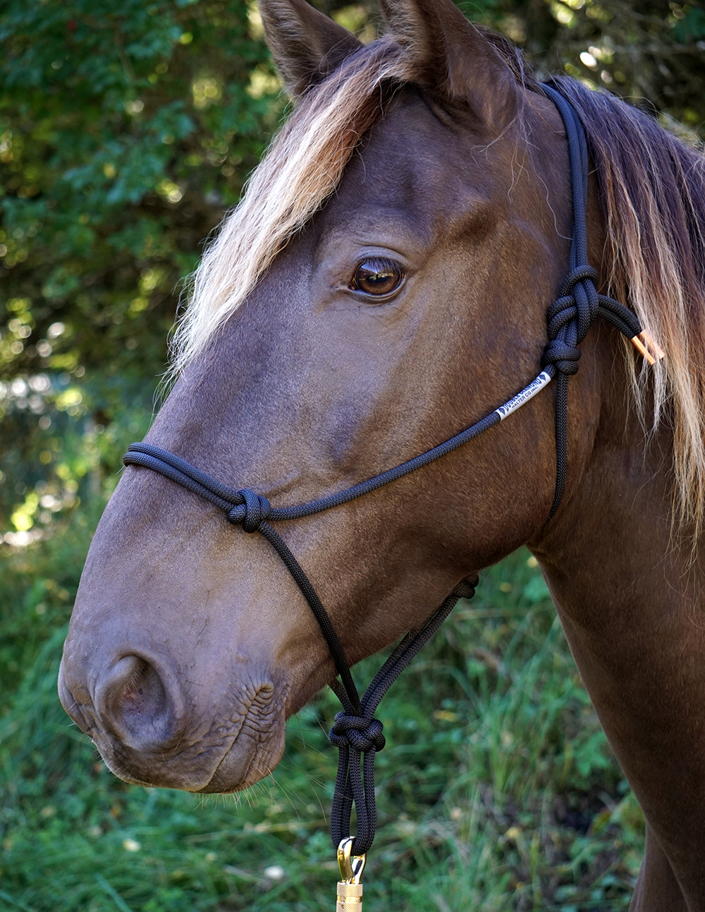 Rope halter Double Diamond #125 (allround) - greige - 2