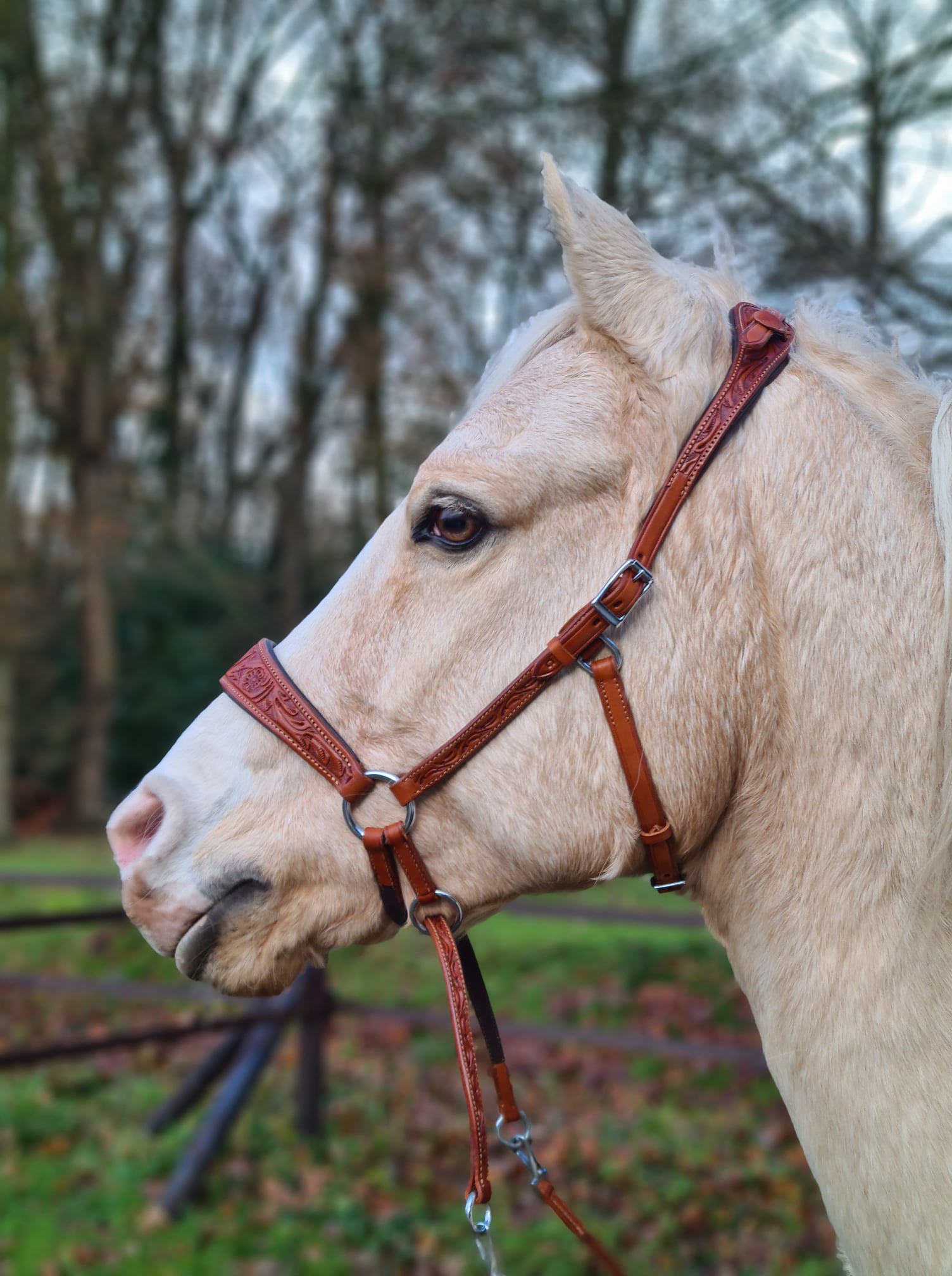 Bitless Bridle Anatomical, Edix© Rose, brown - 9