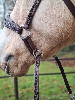 Bitless Bridle Anatomical, Edix© Rose, cognac