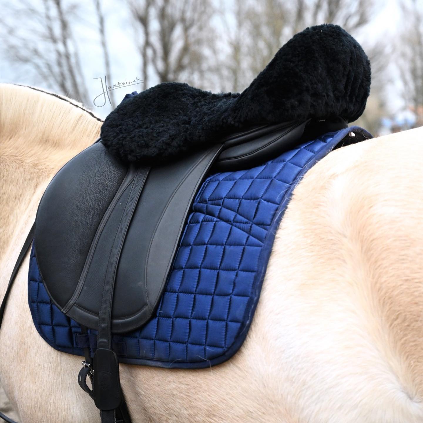 EDIX® Seatsaver / rumpvärmare (dressyr, island, allround, hopp), äkta Merinoull, svart, låg /normal bakvalv - 8