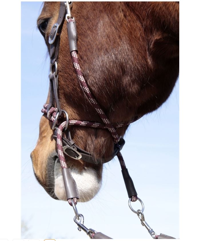 Barefoot® Syringa Crossunder/Sidepull (incl. reins), darkbrown/bordeaux - 4