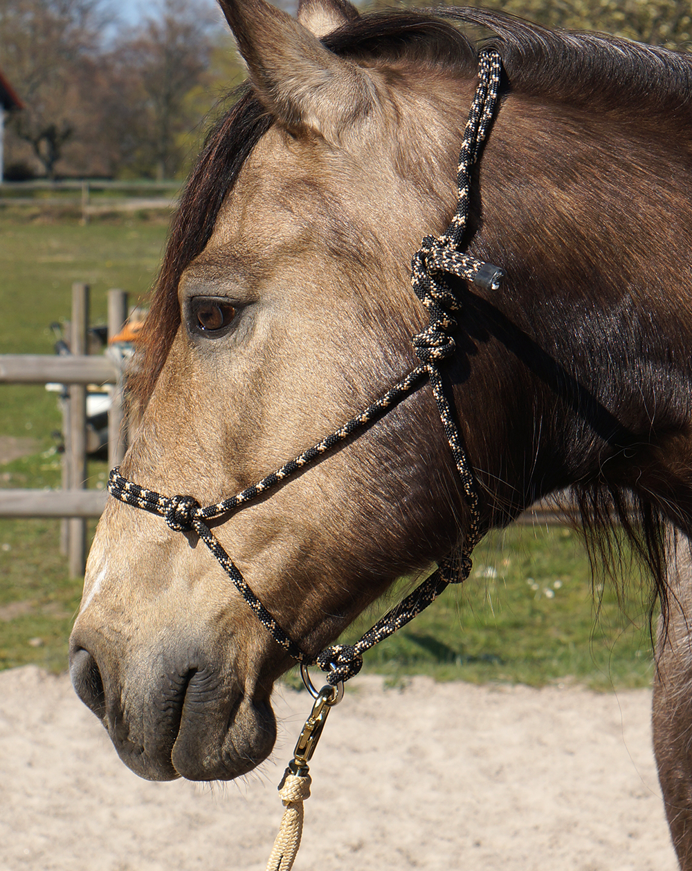 Rope halter Double Diamond #100 (sharp) "Mike Major", pony - 3
