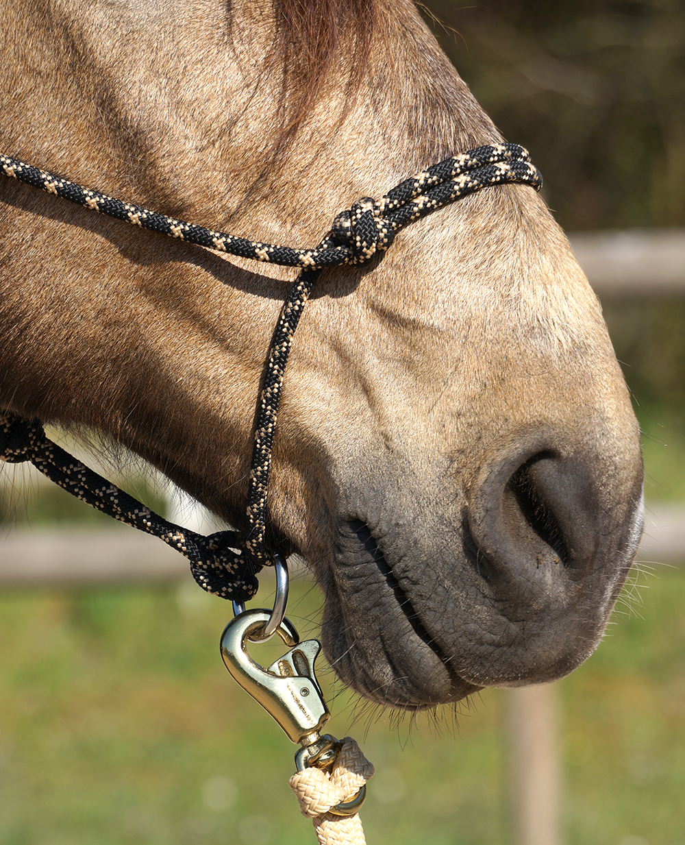 Rope halter Double Diamond #100 (sharp) "Mike Major", pony