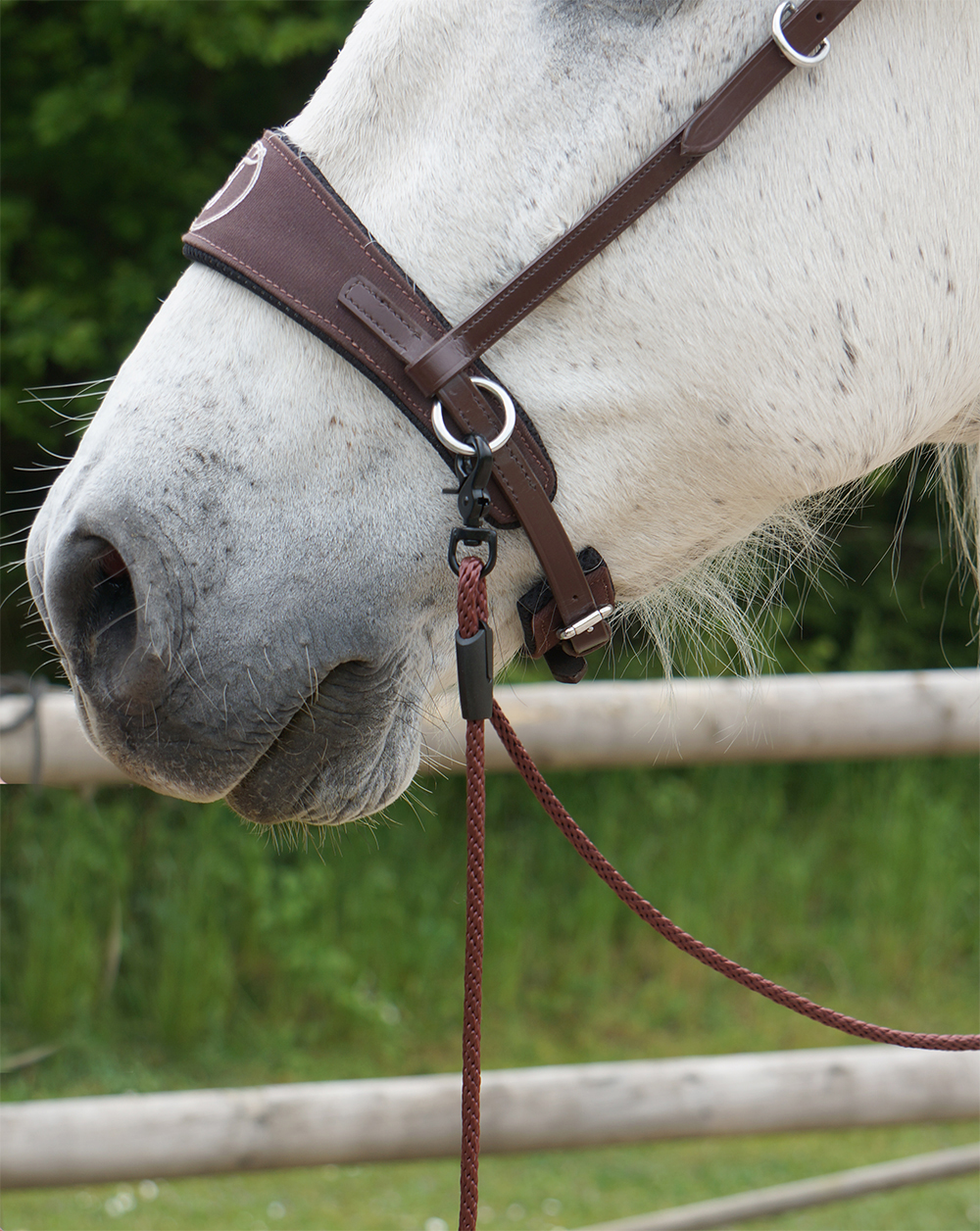 Opux® long rein, 8 mm, black, 8 m - 5