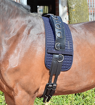Lunging Pad Busse Reitsport