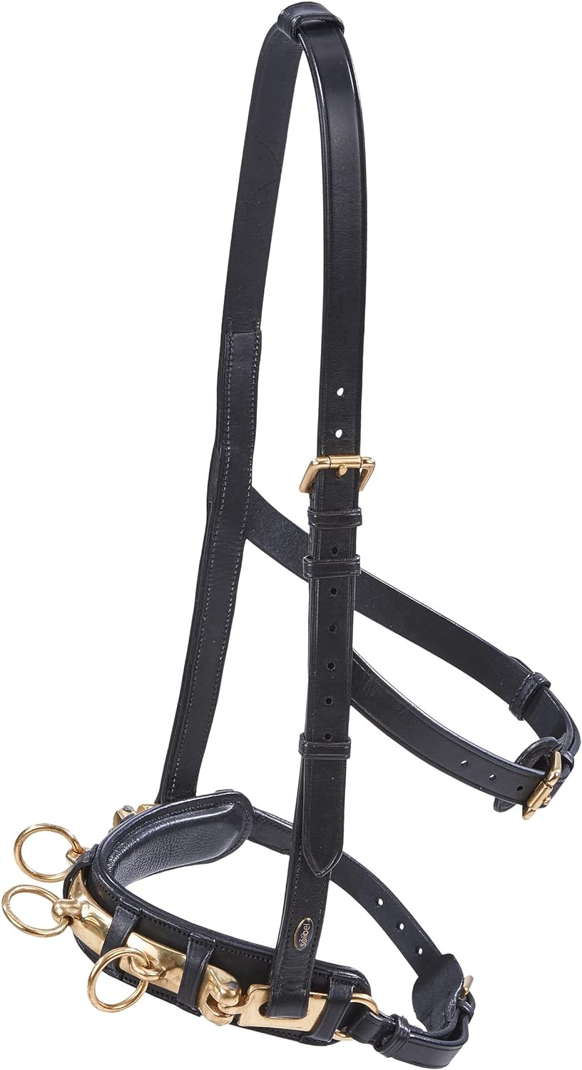 Cavesson 'Busse PRO', for riding and lunging, solid iron, full size - 3