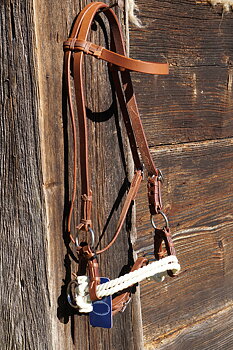 Sidepull Harness, dubbelrep, russet / havanna