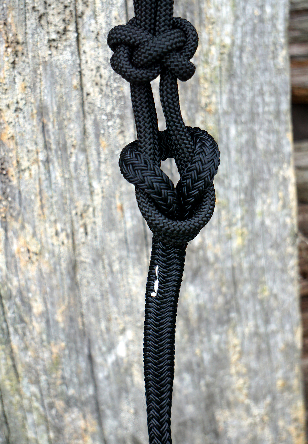 Horsemanship rope Light 3,7 m Brockamp (no hook), brown - 3