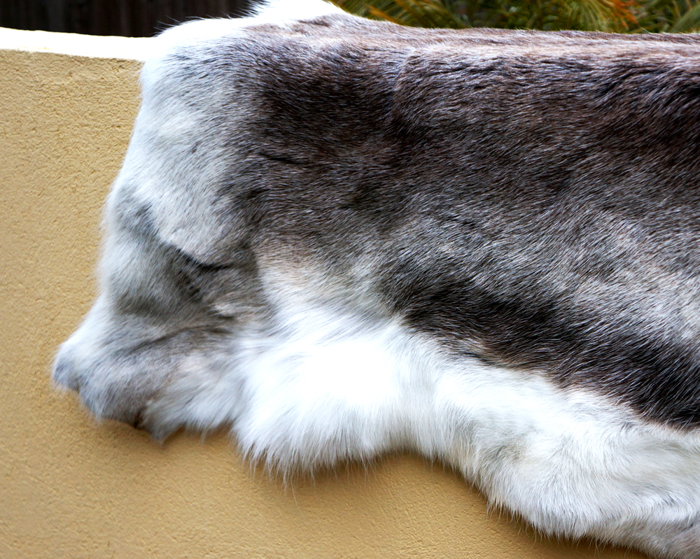 Reindeer hide DeLuxe (for decoration) - 3