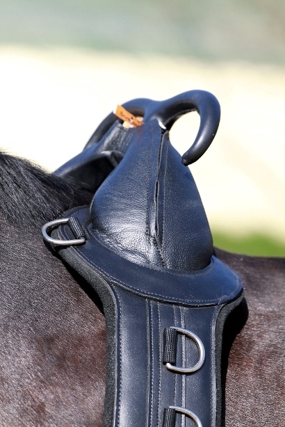 Barefoot® surcingle with handles  - 5
