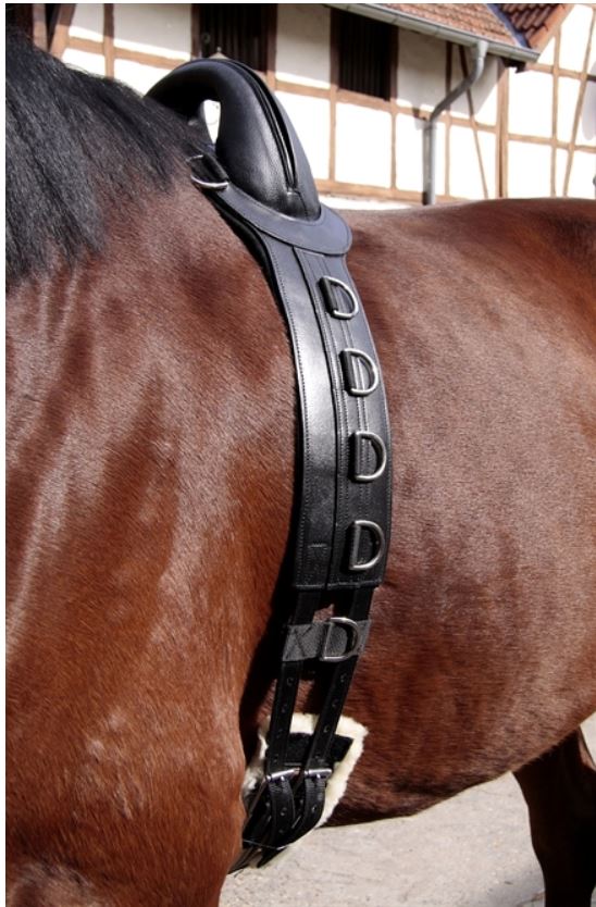 Barefoot® Surcingle 'Save-My-Spine', horse (full) - 4