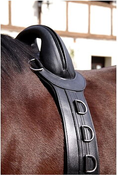 Barefoot® Surcingle 'Save-My-Spine', horse (full)