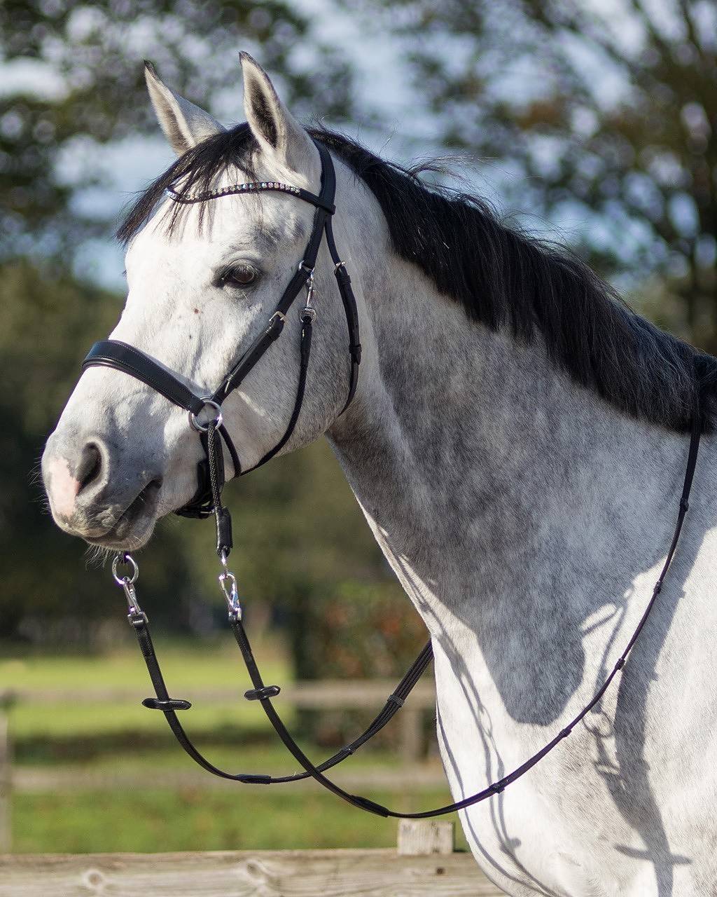 Bitless Bridle / Sidepull QHP 'Sunna' Crossunder, inkl. tyglar, svart/ponny