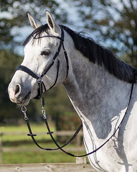 Bitless Bridle / Sidepull QHP 'Sunna' Crossunder, inkl. tyglar, svart/ponny