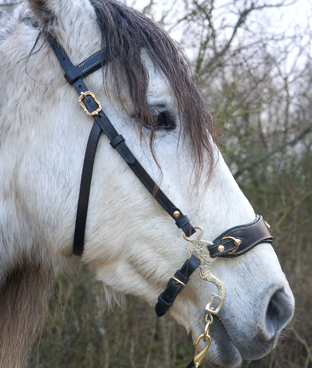 Hackamore bridle Noble by Opux®, black/gold - 3