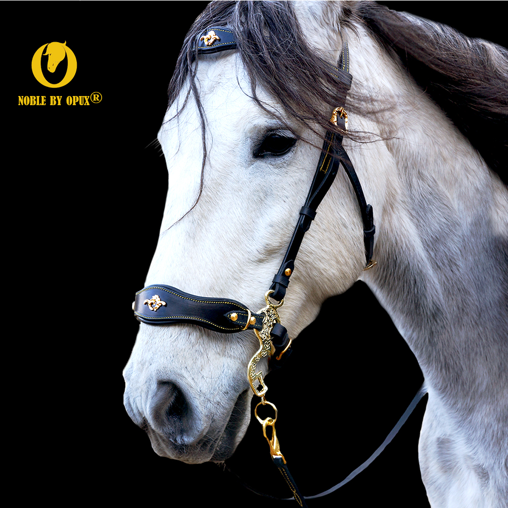 Hackamore bridle Noble by Opux®, black/gold