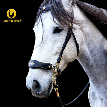 Hackamore bridle Noble by Opux®, black/gold