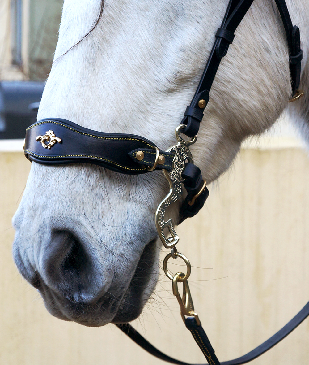 Hackamore bridle Noble by Opux®, black/gold - 4