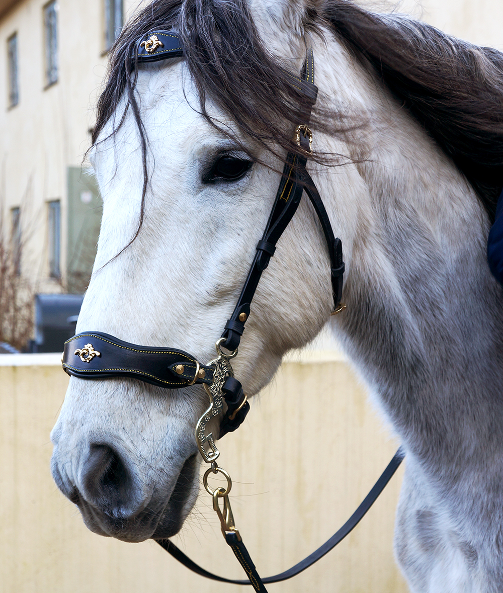 Hackamore bridle Noble by Opux®, black/gold - 5
