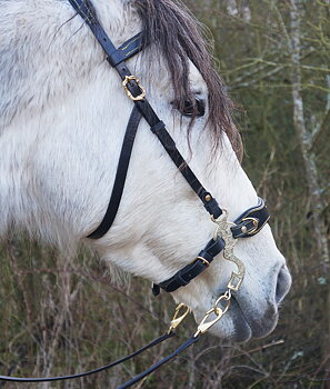 Hackamore bridle Noble by Opux®, black/gold