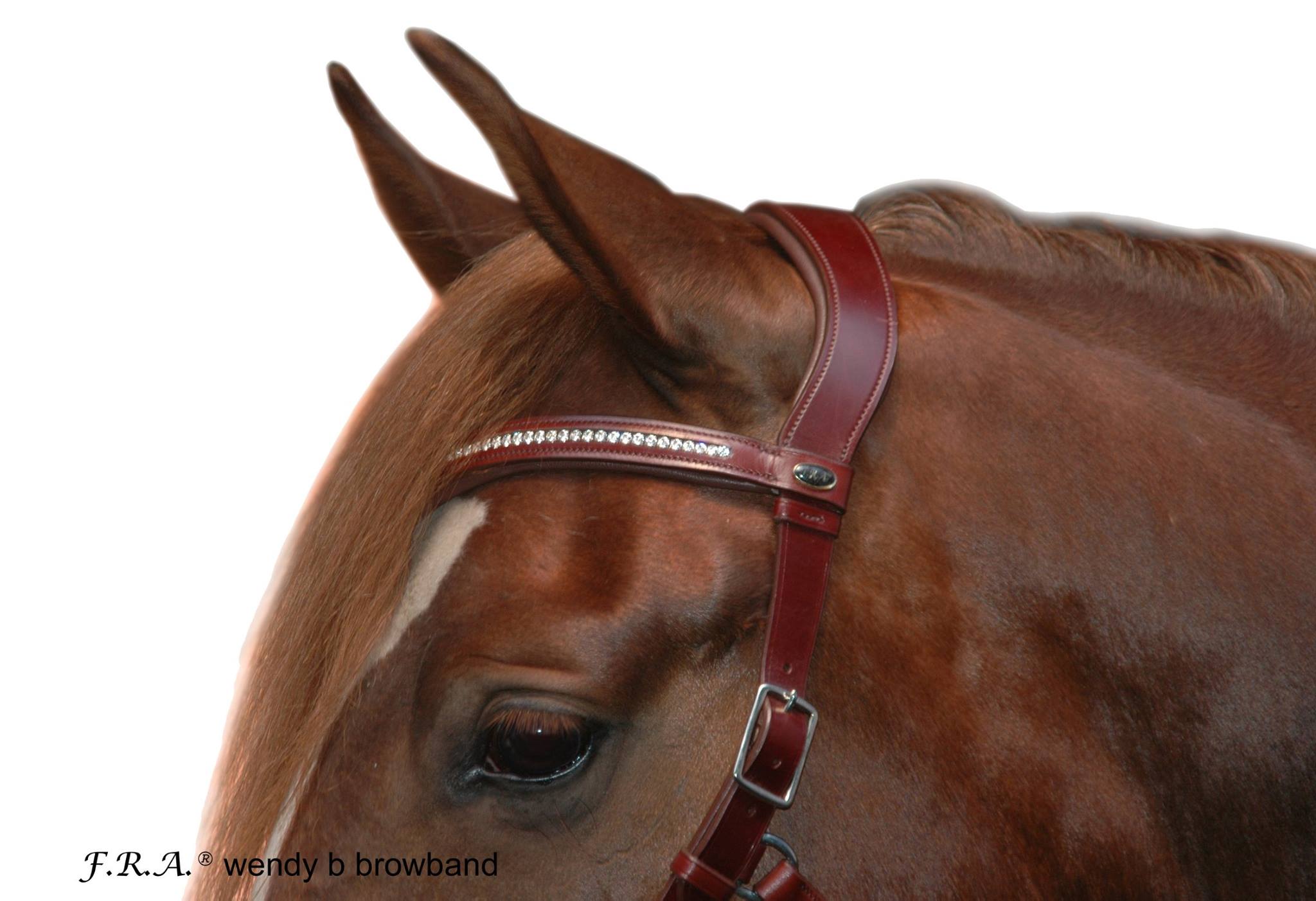 F.R.A® Wendy Riding Cavesson (incl. reins)  - 7