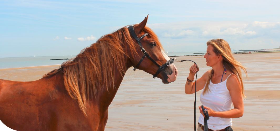 F.R.A® Wendy Riding Cavesson (incl. reins)  - 8