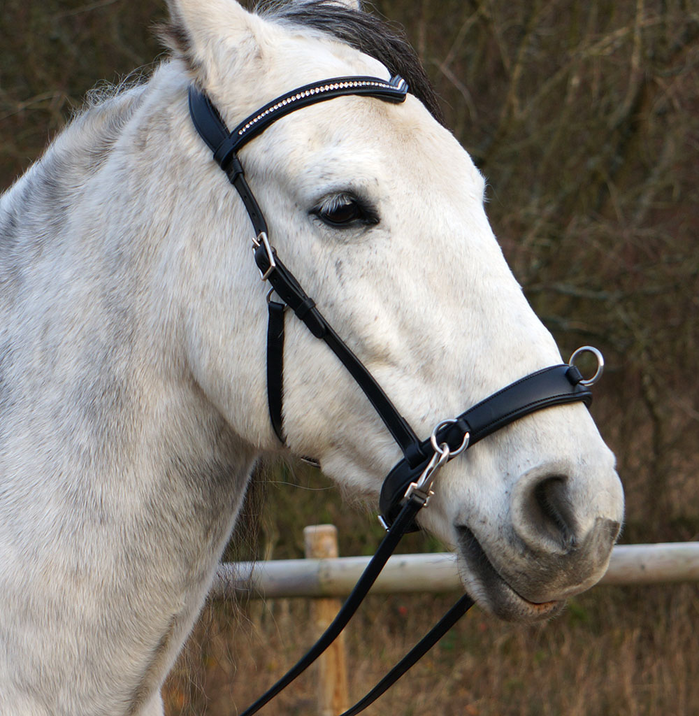 F.R.A® Wendy Riding Cavesson (incl. reins)  - 13