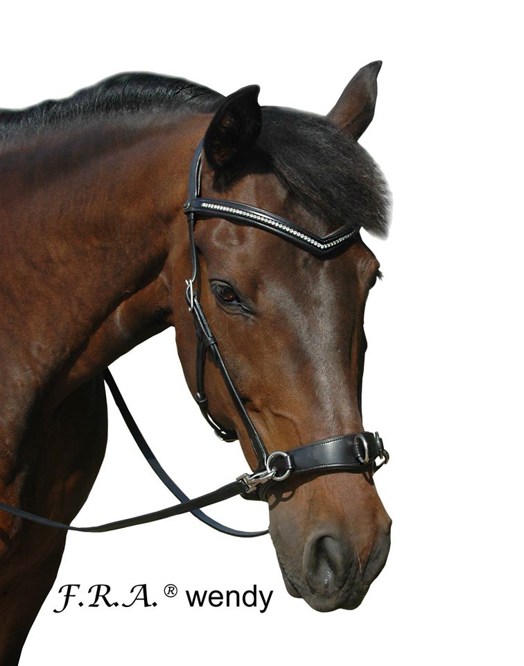 F.R.A® Wendy Riding Cavesson (incl. reins)  - 4