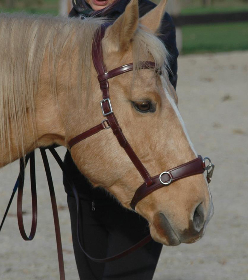 F.R.A® Wendy Riding Cavesson (incl. reins)  - 10