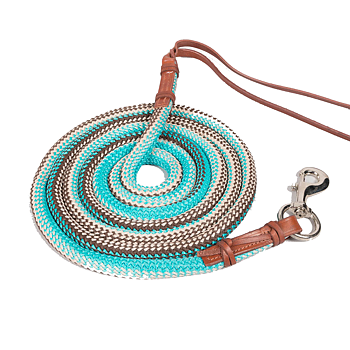 Lead Rope 3,5 m Globus Basic, turquoise/brown