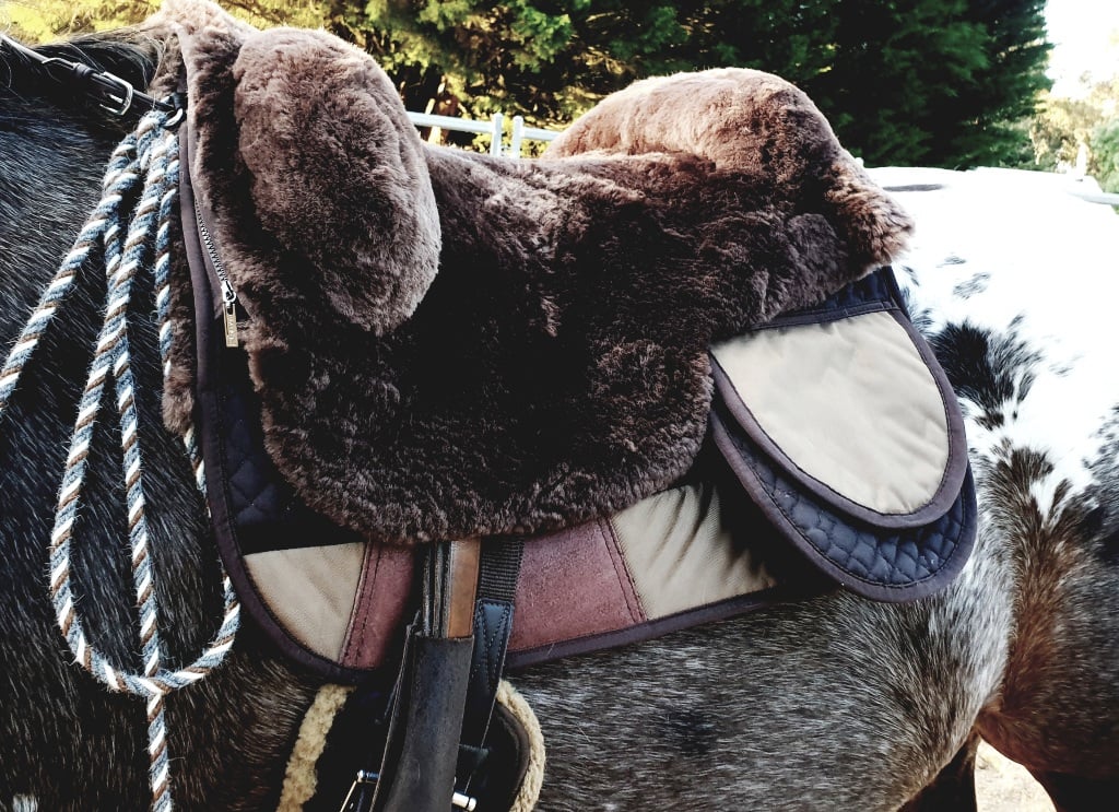  EDIX® Signor Merino sheepskin Barebackpad, burgundy - 2