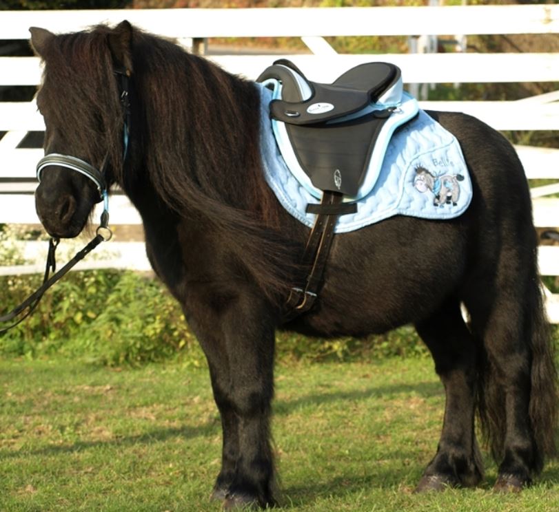 Barefoot® Saddle Pad 'Bellis'  - 2