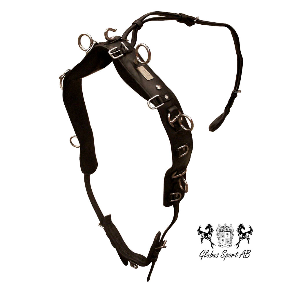 Lunging / training Surcingle, Globus - Black