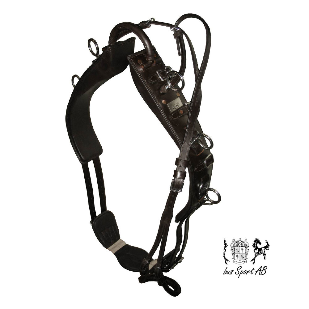 Lunging / training Surcingle, Globus DeLuxe - Black