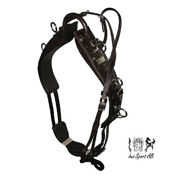 Lunging / training Surcingle, Globus DeLuxe - Black