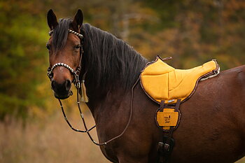 LIMITED EDITION! Barefoot® Ride-On-Pad Physio, French Blue