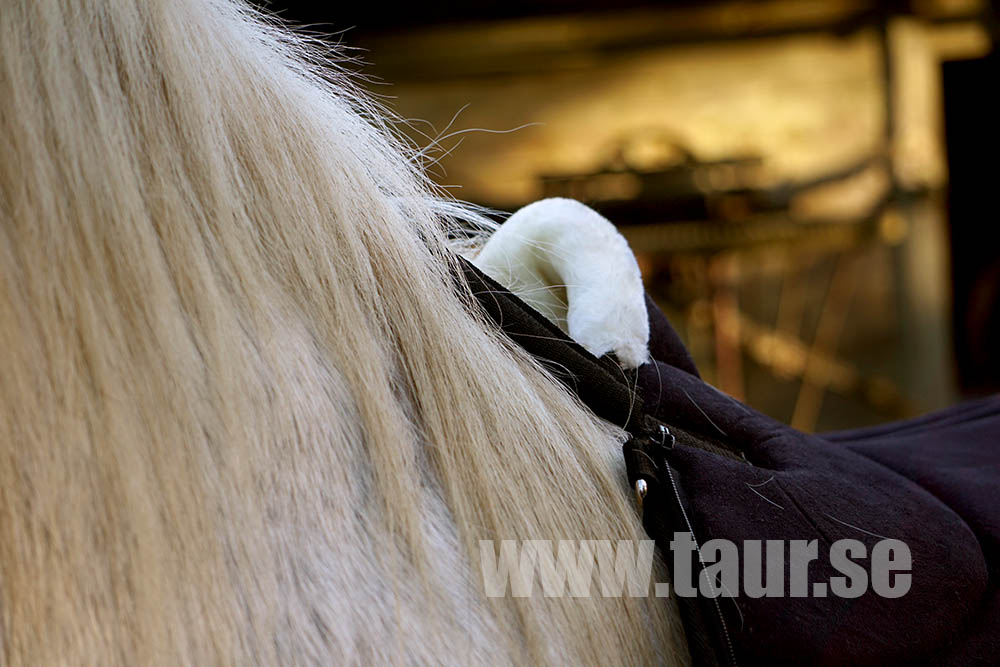 QHP Bareback pad super soft, shetland - 12