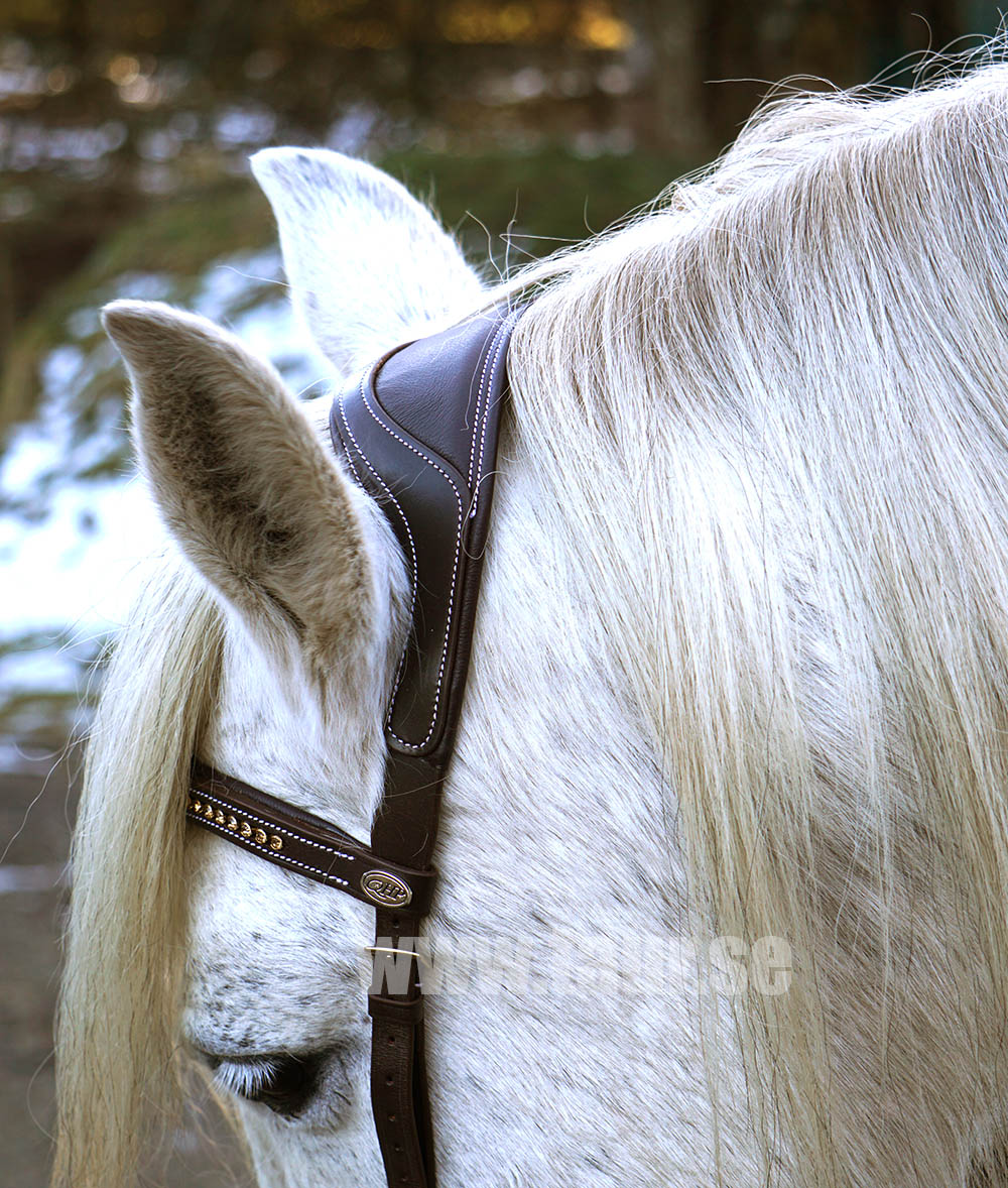 Sidepull / Bitless Bridle QHP Sensitive, anatomiskt, inkl. tyglar, brun - 10