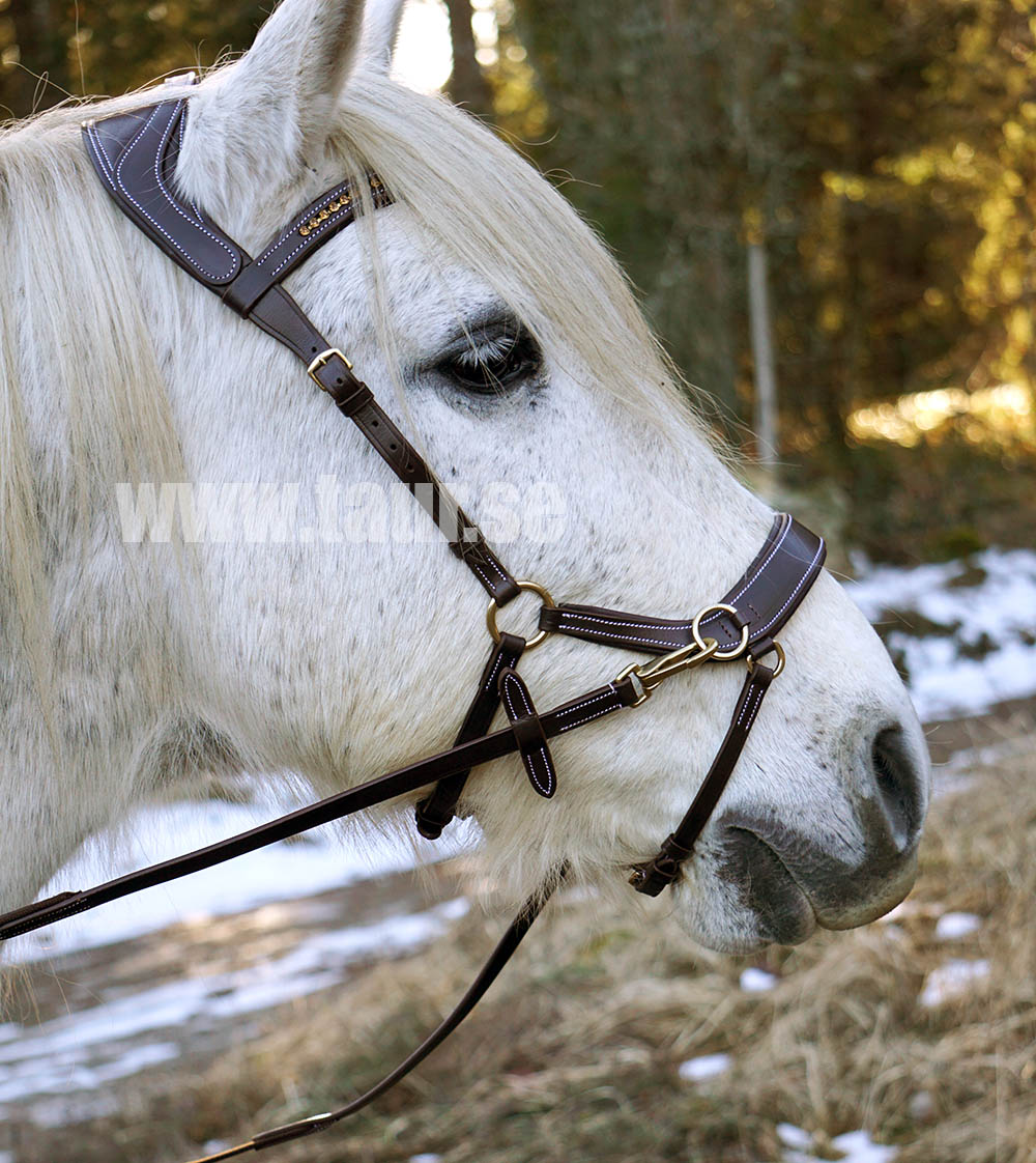 Sidepull / Bitless Bridle QHP Sensitive, anatomiskt, inkl. tyglar, brun - 9