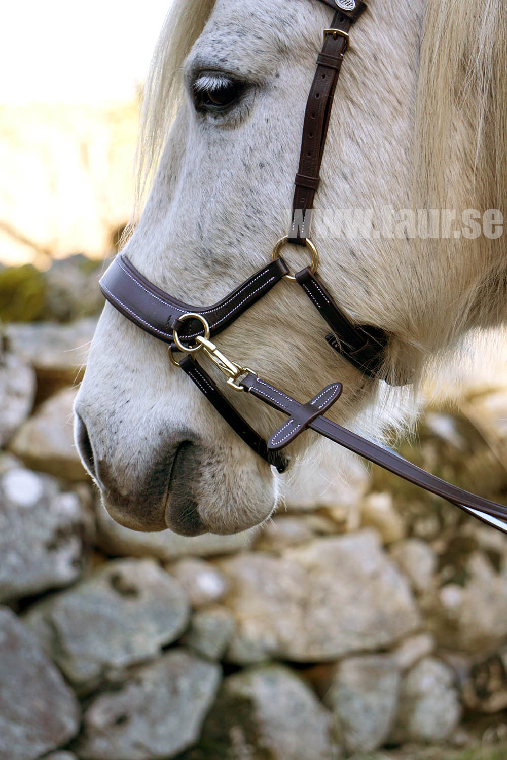 Sidepull / Bitless Bridle QHP Sensitive, anatomiskt, inkl. tyglar, brun - 8