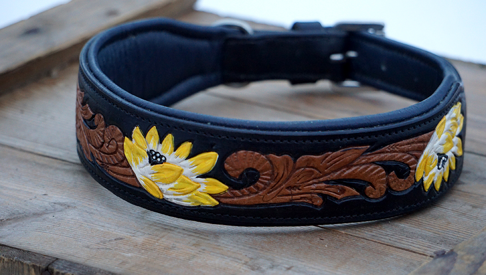 Hundhalsband Sunny Buddy - 3
