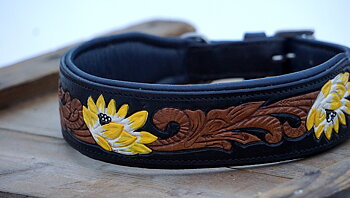 Hundhalsband Sunny Buddy