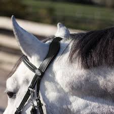 Bitless Bridle + Sidepull (3-i-1) QHP Ceto, inkl. tyglar, svart - 8